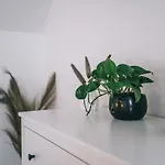 Kardamom Apartament *