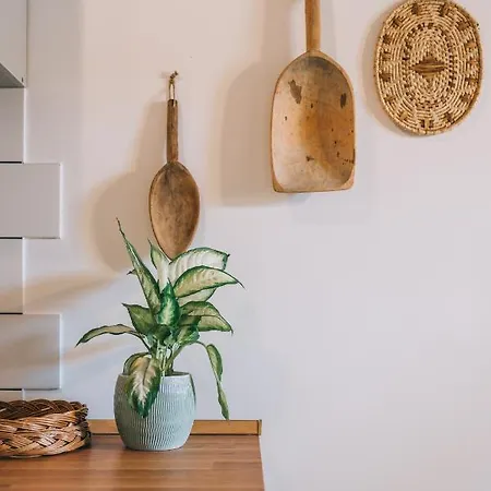 Διαμέρισμα Kardamom