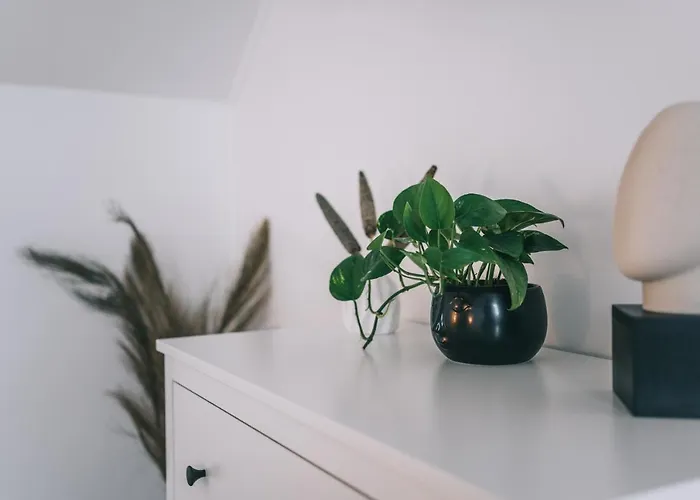 Kardamom Appartement *