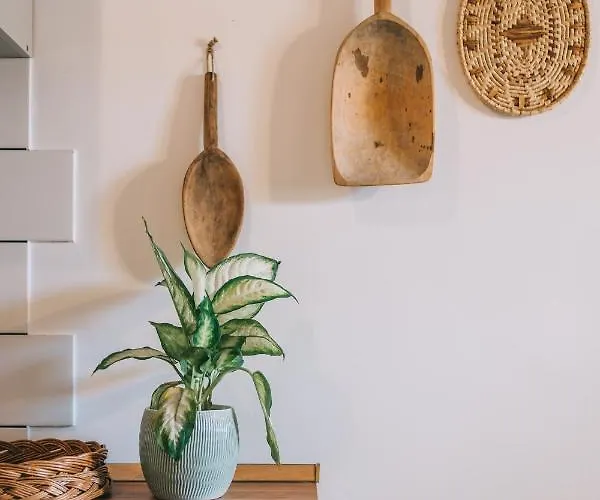 Appartement Kardamom